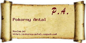 Pokorny Antal névjegykártya